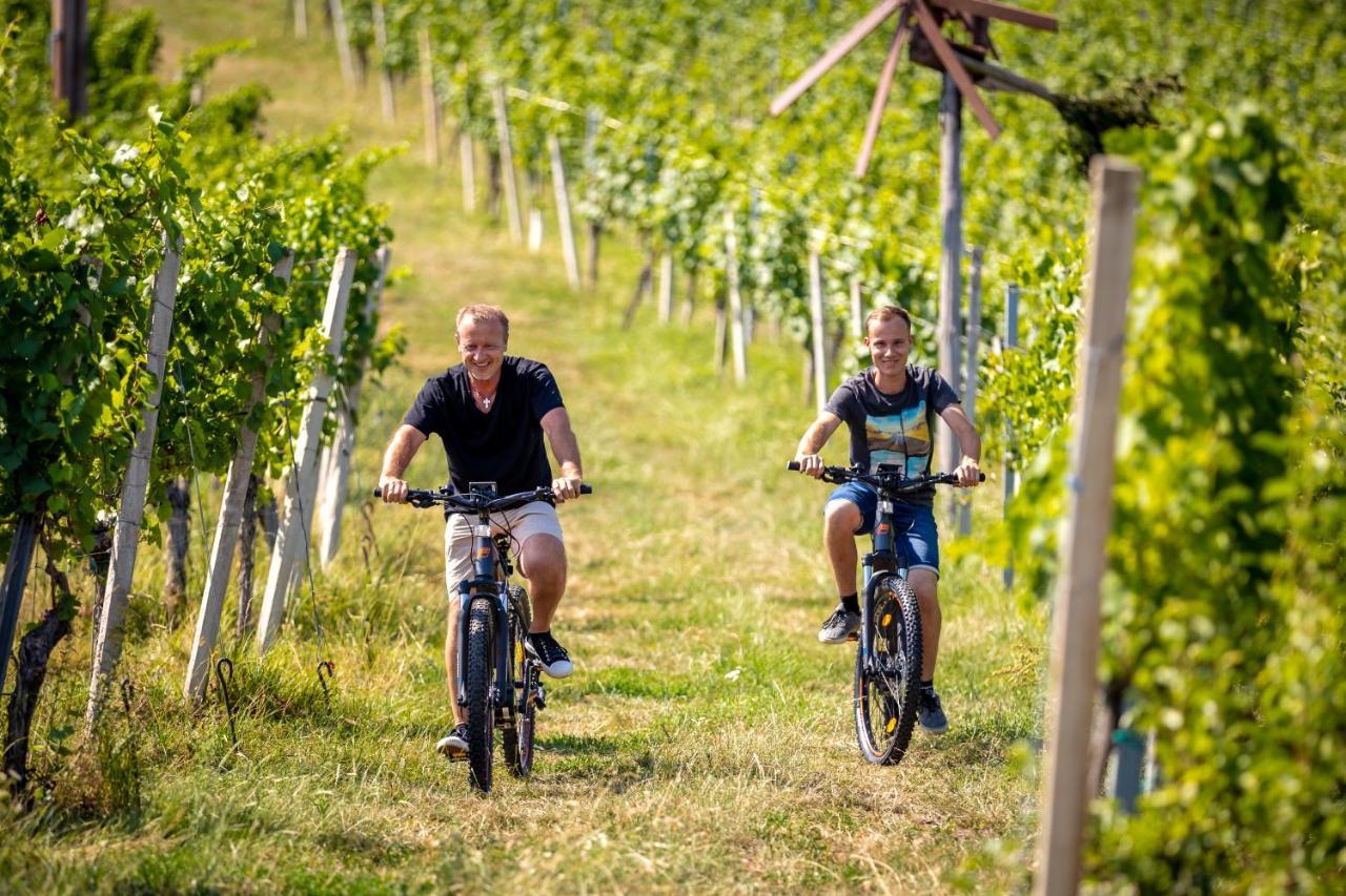 Weingut-Gaestehaus Birnstingl 甘利特茨 外观 照片